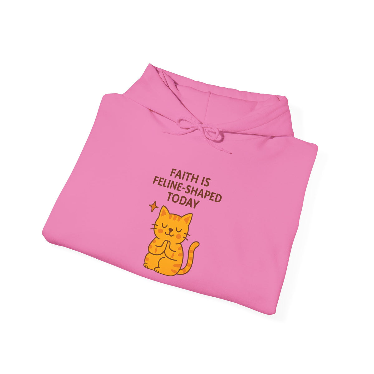 Faith Is Feline-Shaped Today Hoodie