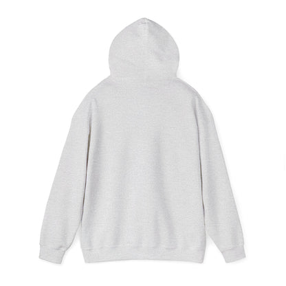 My Future Is Written Hoodie