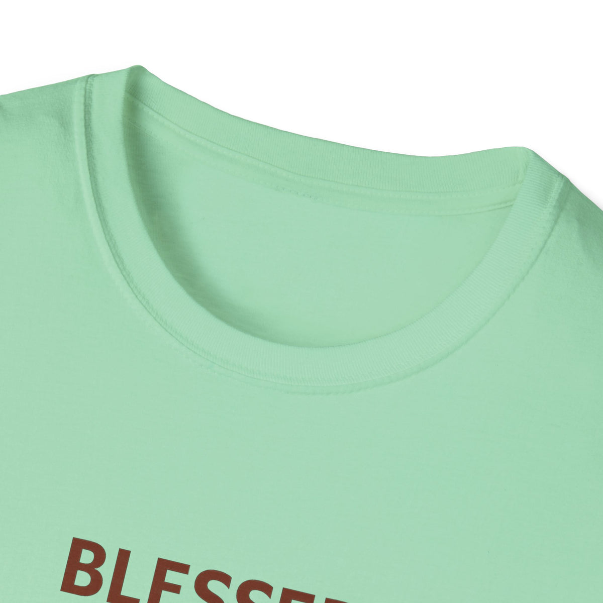 Blessed Beyond Nine Lives T-Shirt