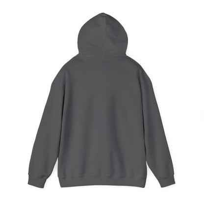 I Do Only Talking to My Cat Today Hoodie