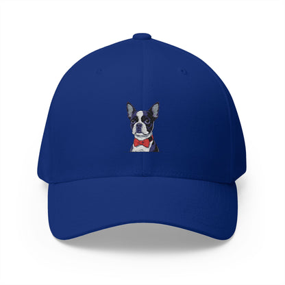 Boston Cutie Hat