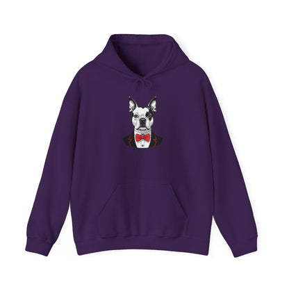 Boston Cutie Hoodie