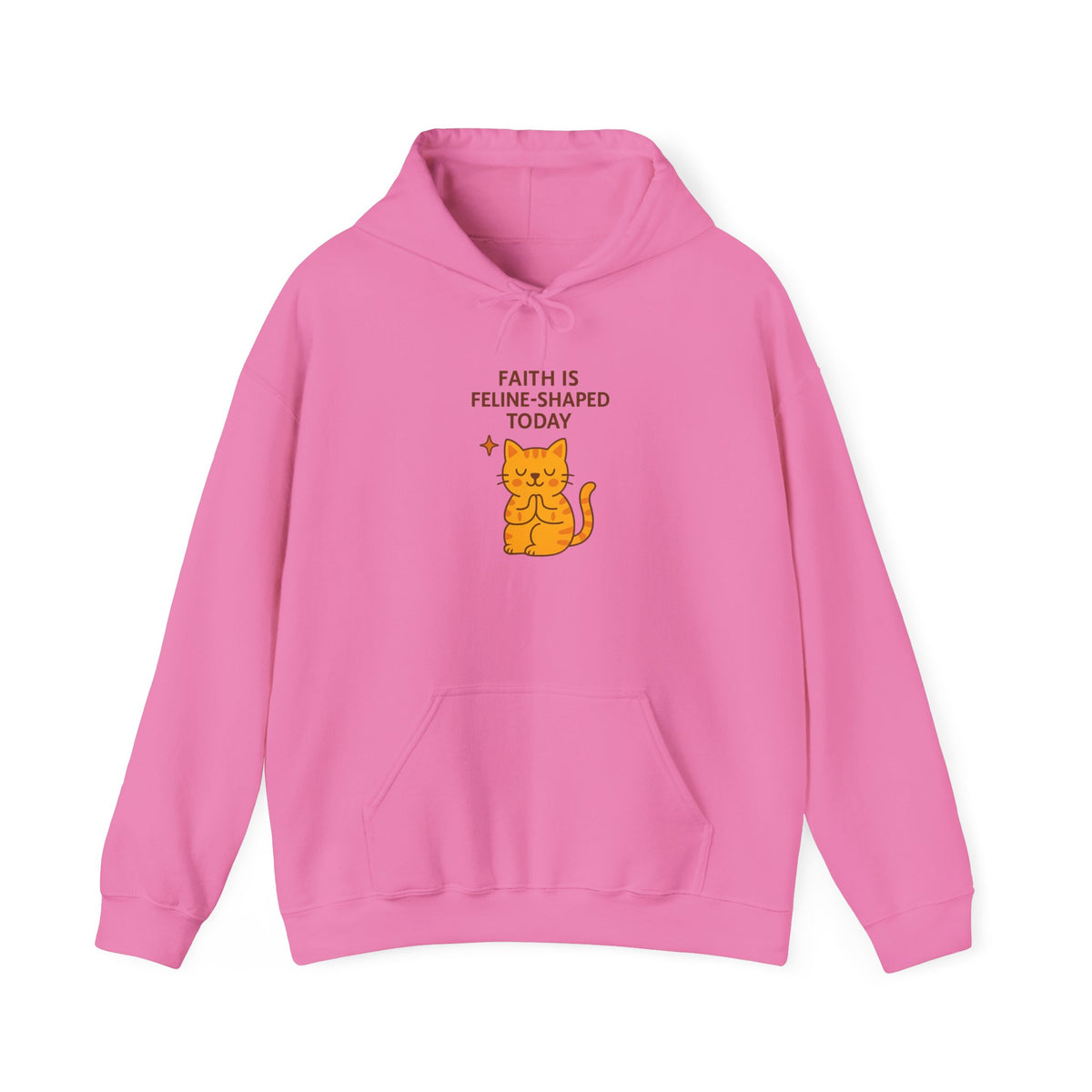 Faith Is Feline-Shaped Today Hoodie