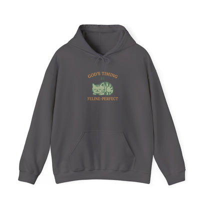 God’s Timing Is Feline-Perfect Hoodie