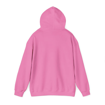 Born To Play Baseball Hoodie